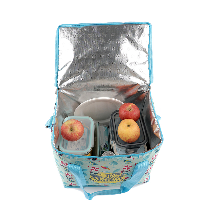 Factory Customized Food Foldable Cooler Bag Cake Ice Cream Lunch Bags Picnic Bag Set