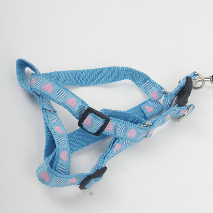 S-With Metal Buckle 2.0 Patch Printed Love Pattern Drawstring + Chest Back PP Flat Rope Pet Traction