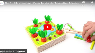 New 3 In 1 Carrot Montessori Wooden Toy Magnetic Matching Game Educational Toys