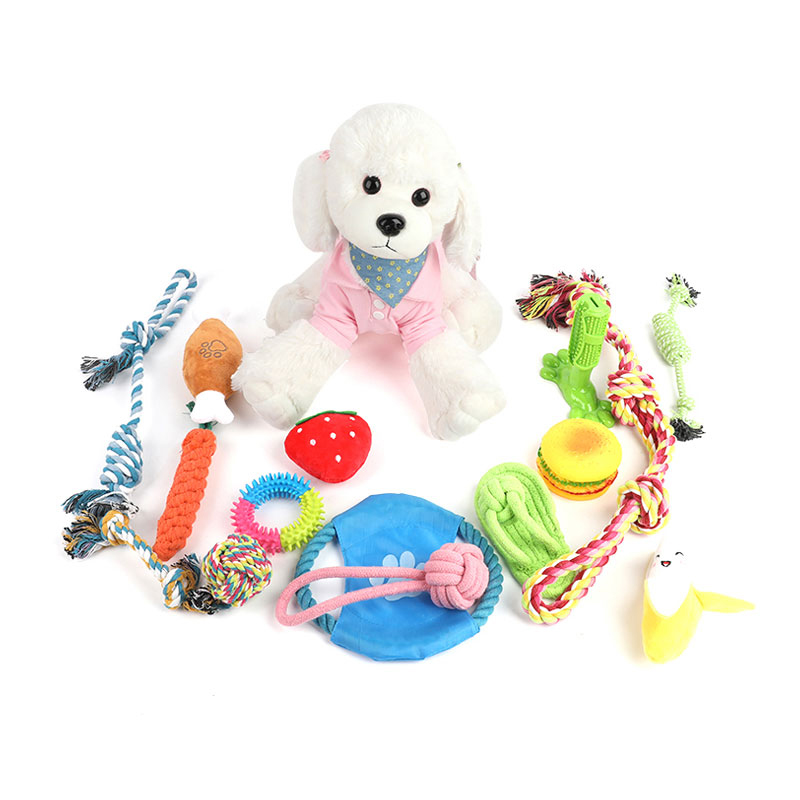 Pet Toys Set