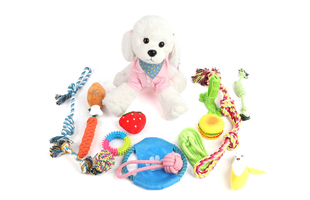 Pet Toys Set
