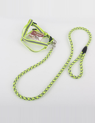 Pet Collars & Leash