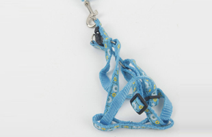 S-With Metal Buckle 1.0 Patch Printed Pattern Drawstring + Chest Back PP Flat Rope Pet Traction Dog