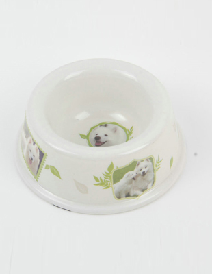 Pet Bowl & Feeding Accessories