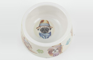 S-Single Port Pet Pattern Bottom Non-slip Round Melamine Pet Bowl Pet Bowl 2