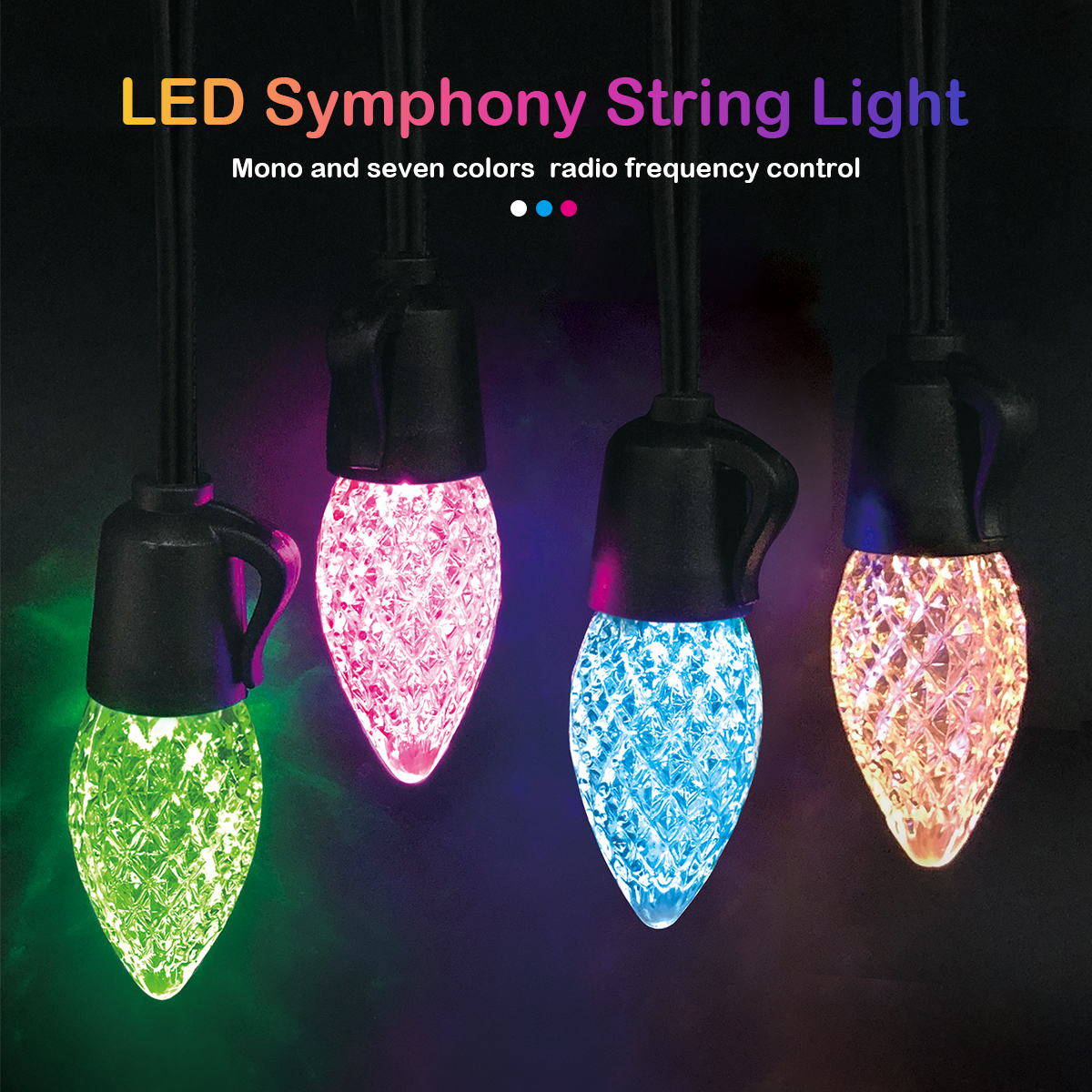 Remote Control Multi-Color LED Light String