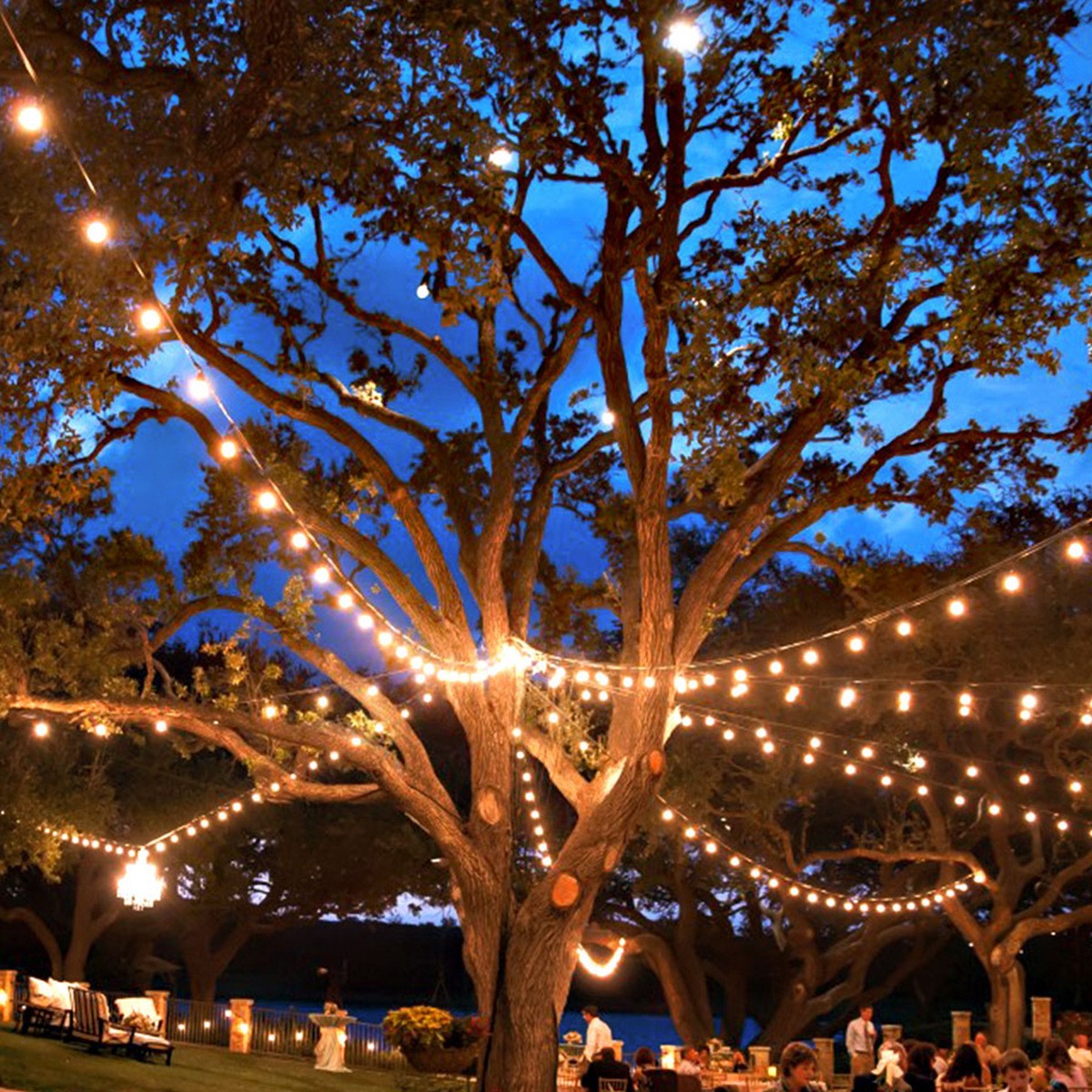 Garden String Lights, 25 Feet