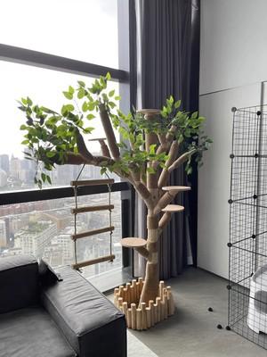 Relaxlines Chinese Factory Real Tree Plant Cat Trees For Big Cats